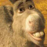 Eddie Murphy - Donkey (voice)